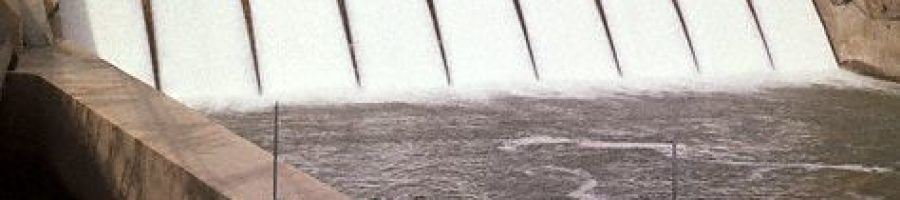 330744180_6b4726b111