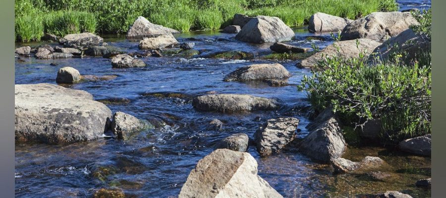 655e1128a3ede2001ecb019d-dreamstime_m_35632739