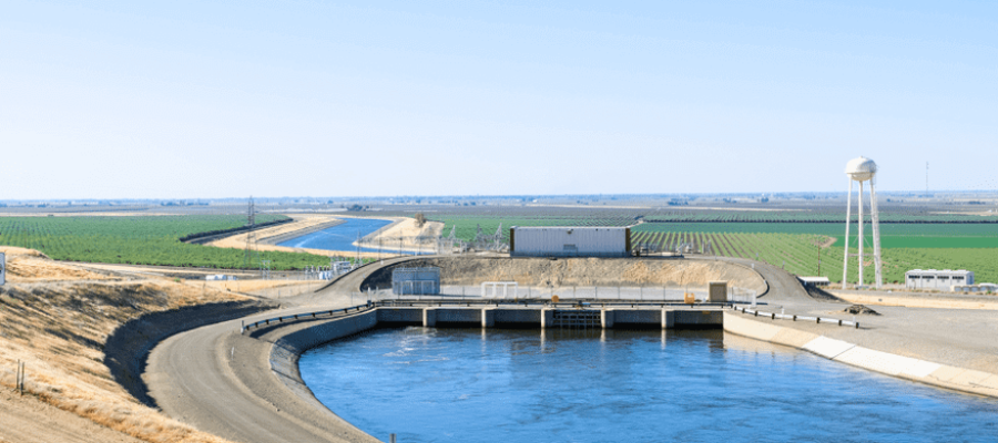 shutterstock_1113681164 (1)